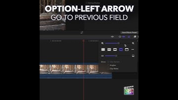 Final Cut Pro Shortcut | Option-Left Arrow | Go to Previous Field