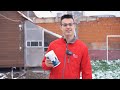 How to keep your pigeons in a good condition over the winter