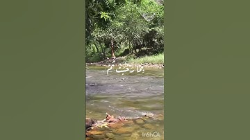 #الشيخ_المنشاوى يقرأ باتقانٍ تام في سورة الانفال أية 25