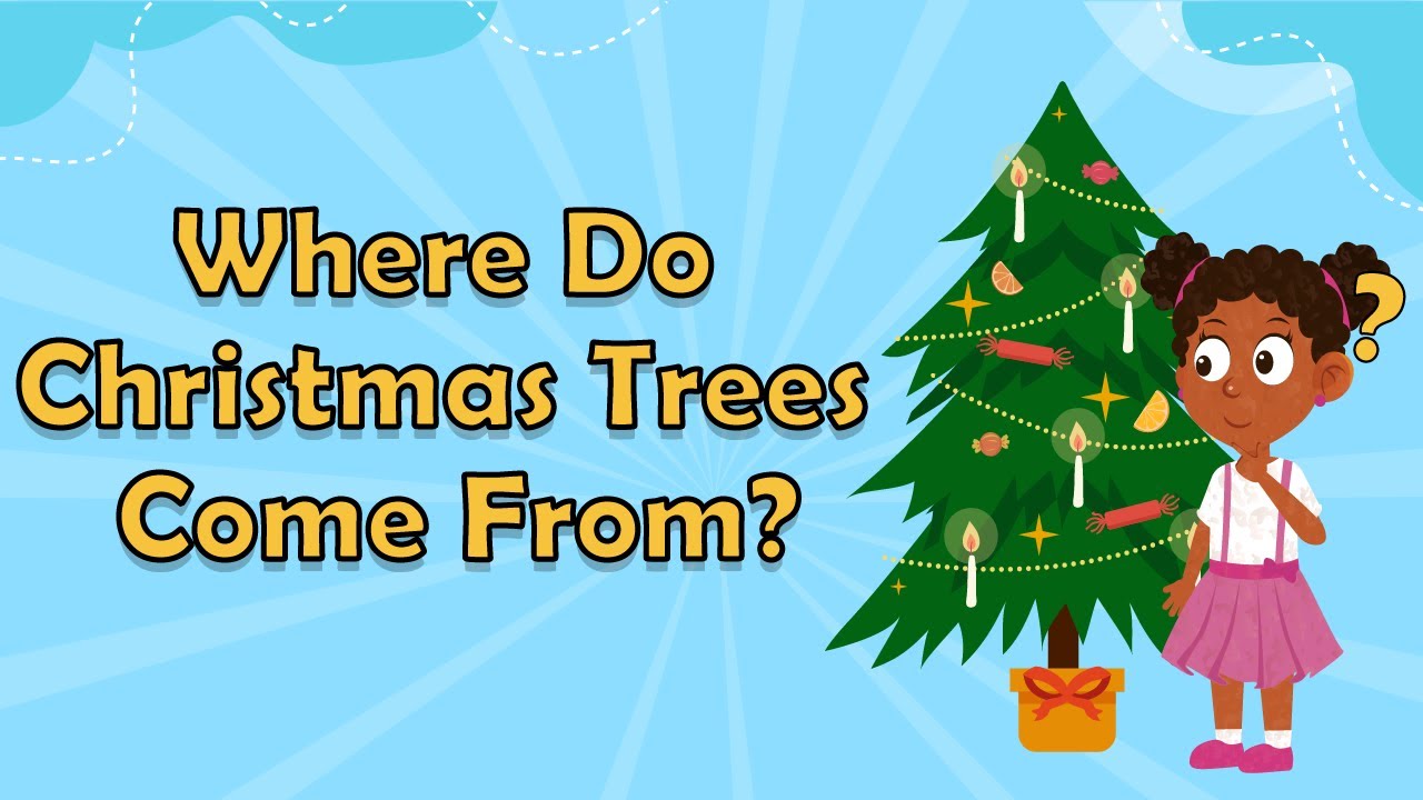 Where Do Christmas Trees Come From Facts About Christmas Fun Facts Where Do Christmas Trees Come From Facts About Christmas Fun Facts