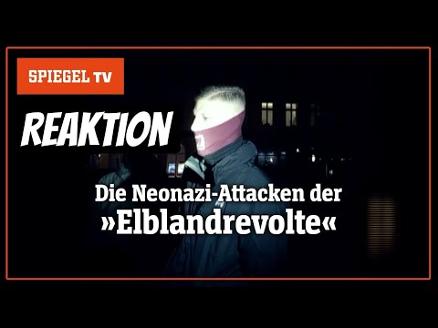 Die Neonazi-Attacken der »Elblandrevolte« | SPIEGEL TV | Reaction