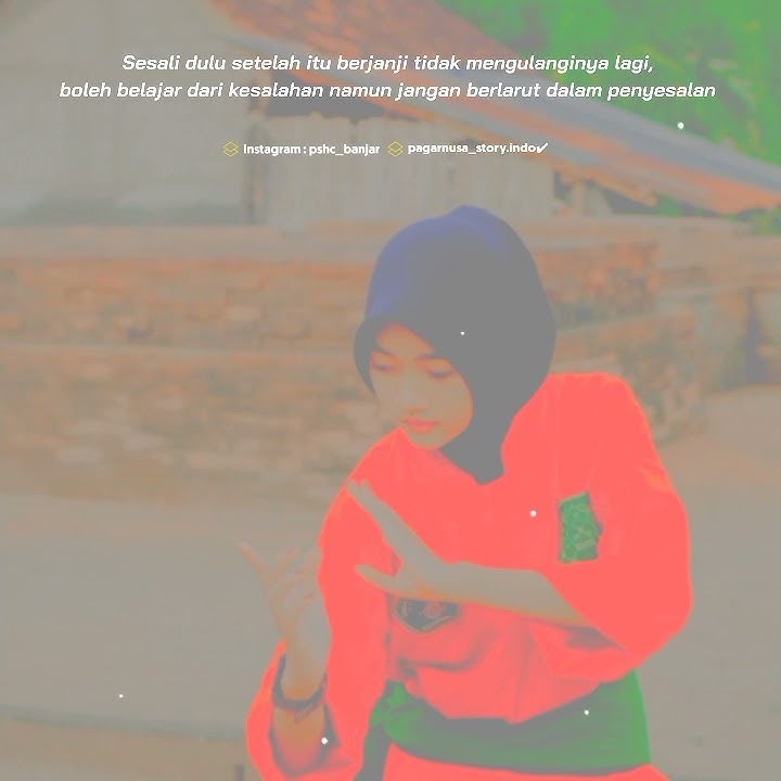 🔴 Story Pagar Nusa 30 detik terbaru || Story Wa || Tik Tok Pagar Nusa #10