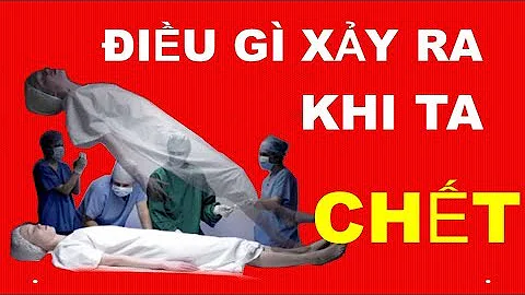 ĐIỀU GÌ XẢY RA KHI CHÚNG TA CHẾT? | KIẾN THỨC THÚ VỊ