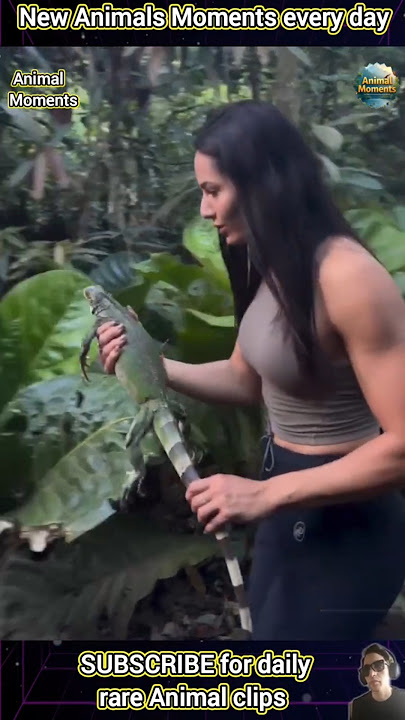 18 INCREDIBLE Animal Clips You CAN'T MISS!