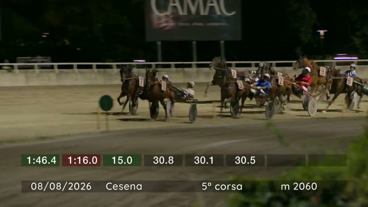 2026 08 08 | Corsa 5 | Metri 2060 | Premio Memorial Marco Pantani