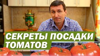 СЕКРЕТЫ ПОСАДКИ ТОМАТОВ | САДОВЫЙ РАЙ