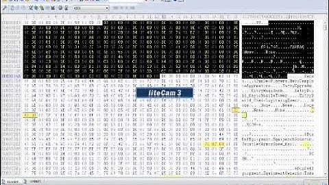 How To Hex Mod Dungeon Defenders Xbox 360 (Character and Weapons)