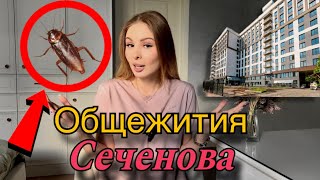Общежитие в Сеченова |Стоимость|Условия и Адреса