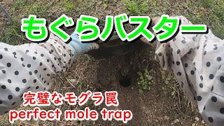 もぐらバスター ～perfect mole trap 完璧なモグラ罠～