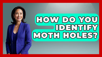 How Do You Identify Moth Holes? - Insects and Invaders