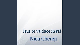 Video voorbeeld van "Nicu Chereji - Tu esti calea, adevarul si viata"