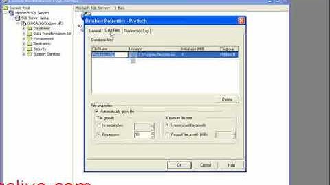 Creating a Database in SQL Server ASP.NET - wingslive