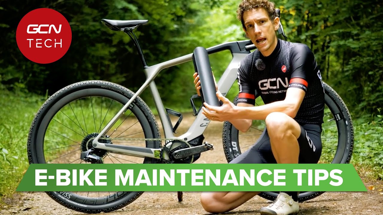 trek electric bike maintenance