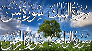 سورة يس و سورة الرحمن و سورة الواقعة و سورة الملك للتيسير الرزق والشفاء العاجل باذن الله إياد مهرة