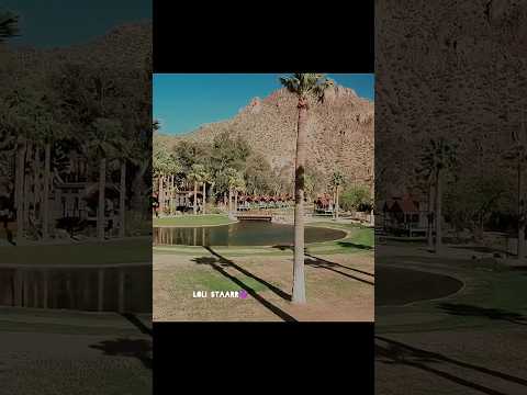 سيوة جنة الصحراء وسر عيون الكبريت