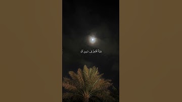 #القرآن_الكريم #quran #محمد_اللحيدان #سورة_آل_عمران