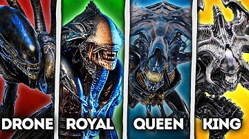 All 16 Stages of the Xenomorph’s Evolution - Alien Lore Explained