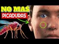 7 INCREIBLES métodos PARA QUE NUNCA más TE PIQUEN los MOSQUITOS