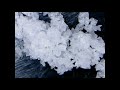 Under the microscope: baking soda / Под микроскопом: пищевая сода