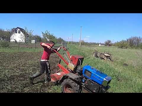 Видео: 3 начина за почистване на древни монети