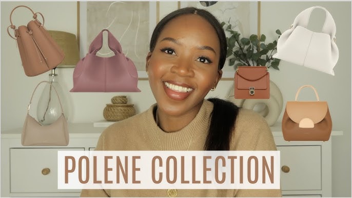 Polène Handbag Review and Comparison