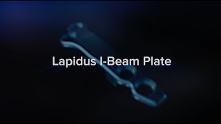 Lapidus I-Beam Plate Animation