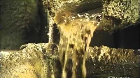 How It’s Made Biodiesel