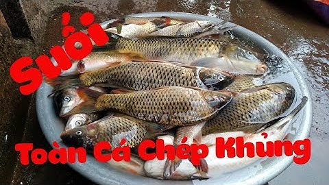 Ngăn Dòng Bắt Cá Khủng ✓ Poòng Văn Quỳnh