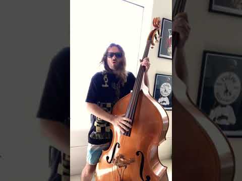 Morning Bassline #358