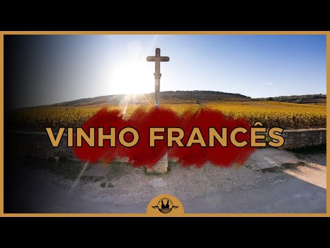 TUDO O QUE VOCÊ PRECISA SABER SOBRE VINHO FRANCÊS