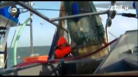 VTC14_Cuộc chiến chống lại rác thải nhựa trên biển