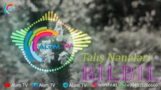 Talış nənələri - BILBIL - Tolışə mahne Resimi