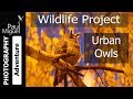 Photographing Serbia&#39;s World Famous Owl Roosts! (Canon 1DX)