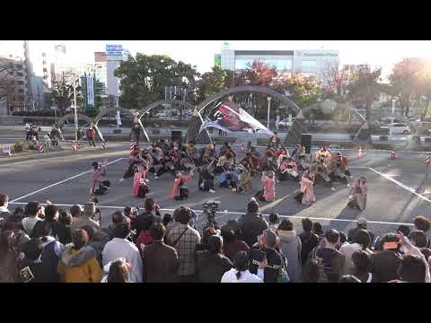 八雲一座2021四日市よさこい_市民公園2