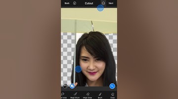 Create cutout and superimpose using LightX Photo Editor for iPhone
