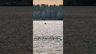 Still so mad at myself for sleeping in and missing this moose sighting!! #ontarioparks #ontario