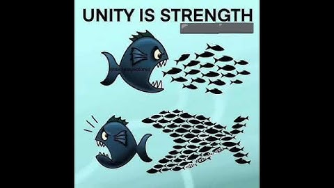 Unity is Strength | Motivational | Reality #youtubeshorts #shorts #motivation #shortsvideo