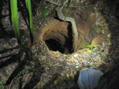 Shirley's Lost Calf Cave, Archer, FL