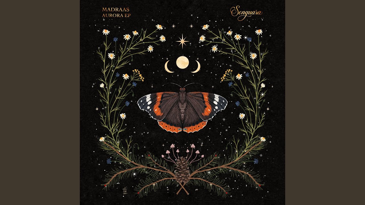 Northern Lights (Extended Mix)