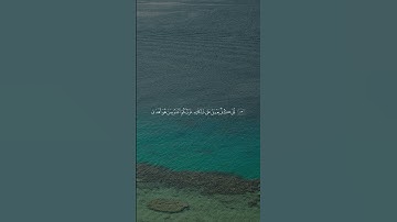 اكتب شيء تؤجر عليه | سورة الإسراء الآية 81-85 القارئ ماهر المعيقلي