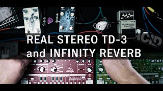 REAL STEREO TD-3 and INFINITY REVERB | Riemann Studio Trick 014