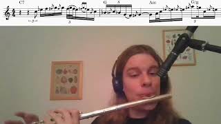 Flute cover : Albert King - I Almost Lost My Mind