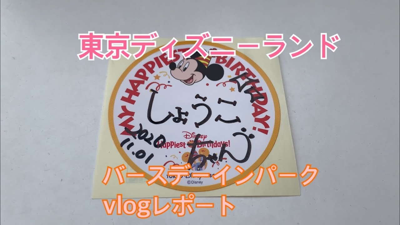 Disney Vlog 東京ディズニーランド バースデーインパークレポート Youtube