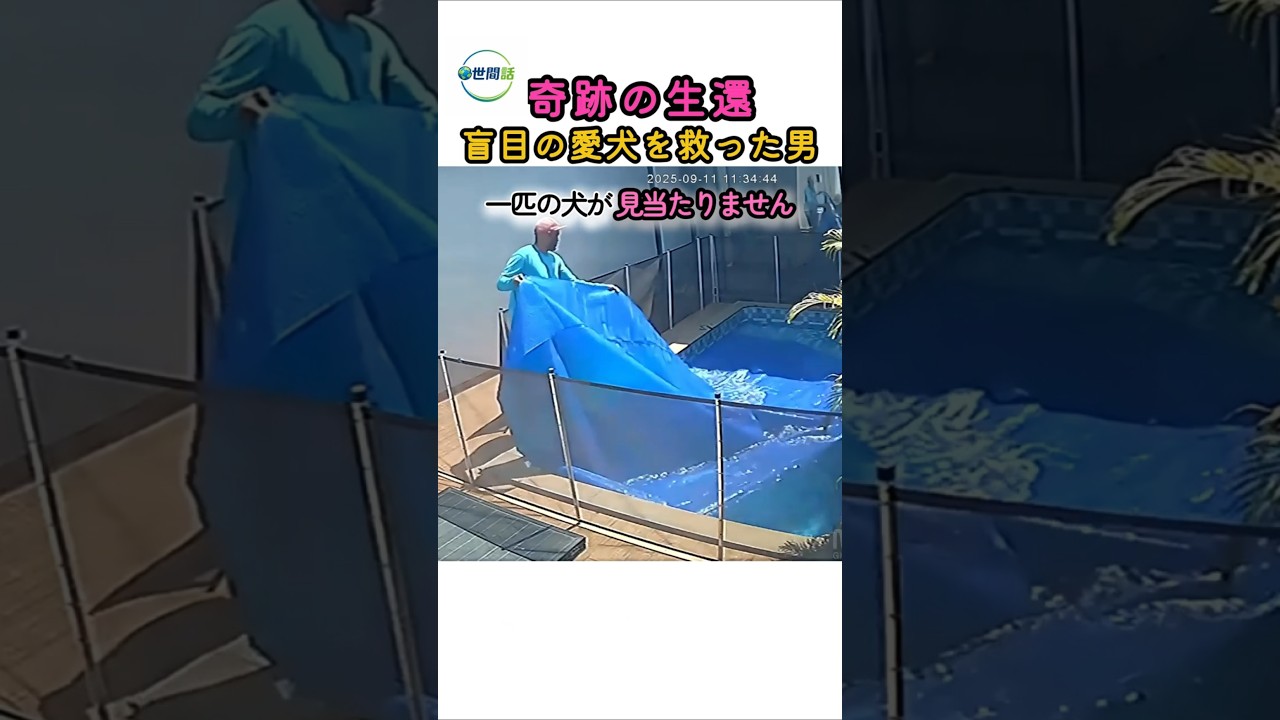 プール清掃員が起こした奇跡