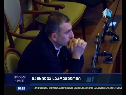 \"პანორამა თბილისს\" საკრებულოს დეპუტატების და არქიტექტორების ნაწილი აკრიტიკებს