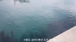 [사량도 섬바다펜션] 힐링의 진수, 행복한 하루하루