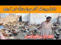 Free range desi hen farm in Pakistan||Free range chicken farming in Pakistan||desi hen farm Pakistan