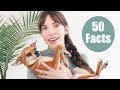 50 FACTS ABOUT ME!