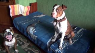 Охота На Раков Часть 4