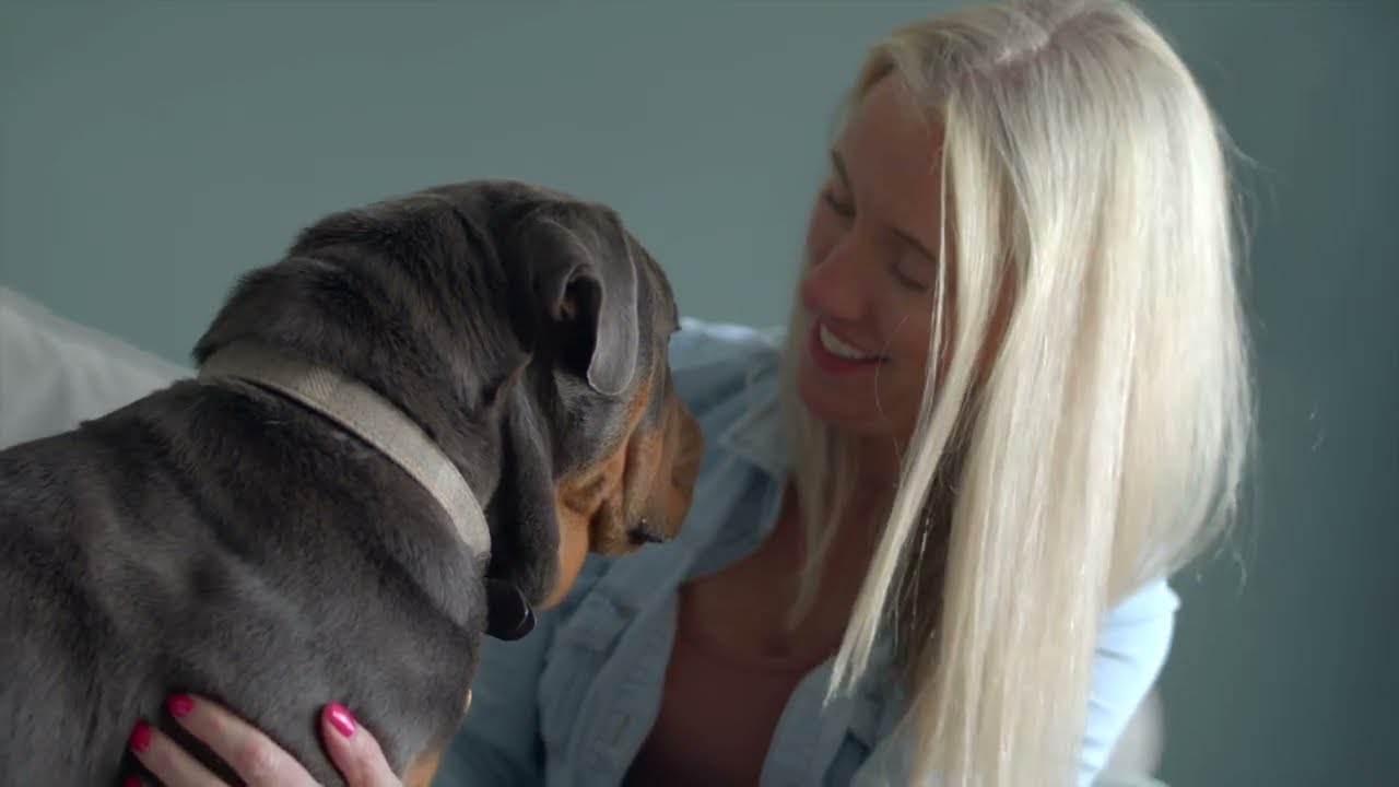 RSPCA summer cruelty appeal